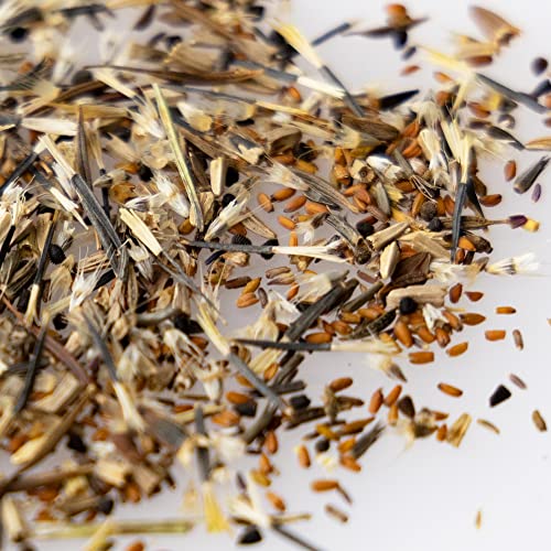 Mountain Valley Seed Co Monarch Butterfly Wildflower Mix Seeds 1 Lb Bulk (1 Lb)