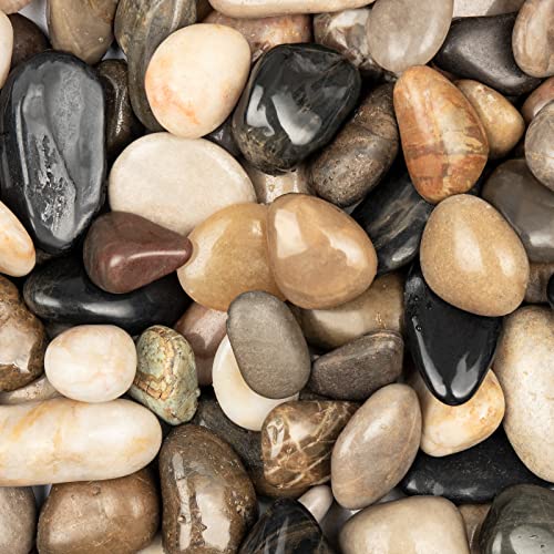 20lbs Mix Natural River Rocks (20 Pounds / Mixed)