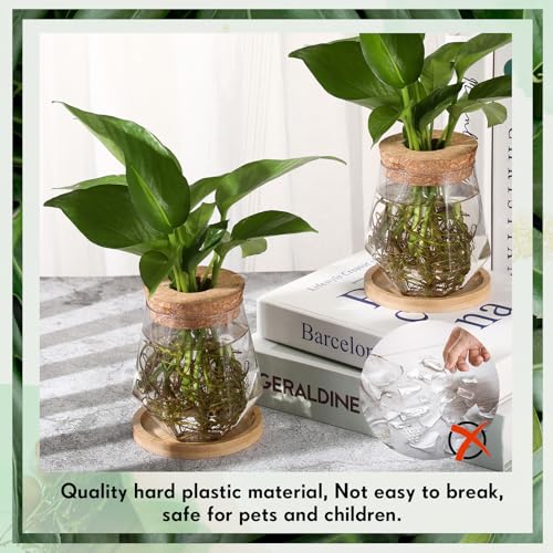12 Pack Propagation Vases for Plants (Cup Style)