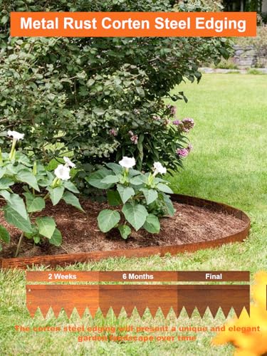 Landscape Edging Border