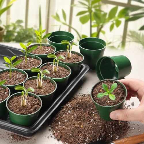 100 Pack 2.5 Inch Small Plant Pots (100 Count)