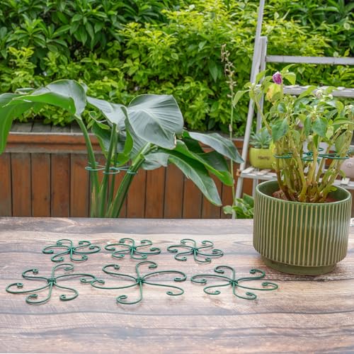 5PCS Monstera Plant Support Hook (5 Count)