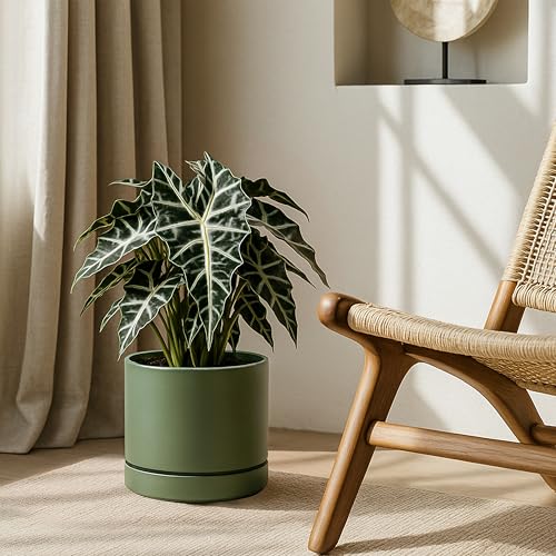 8 Inch Planter Pot with Drainage Hole & Saucer (8" (1 Pack) / Olive)