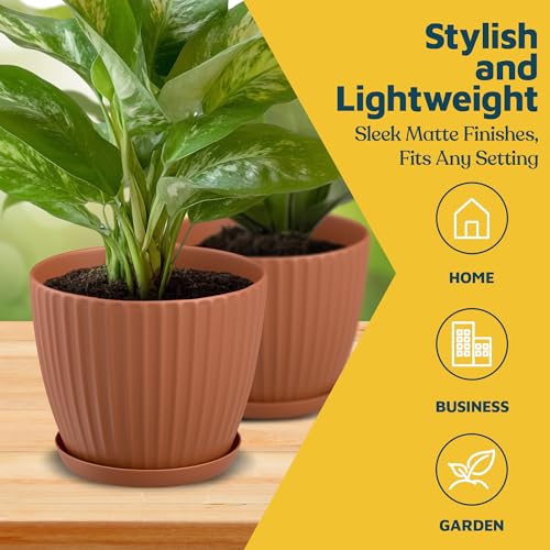 Terracotta 6 Inch Plant Pots with Drainage & Saucers 12 Pack (Terracotta / Pack of 12)