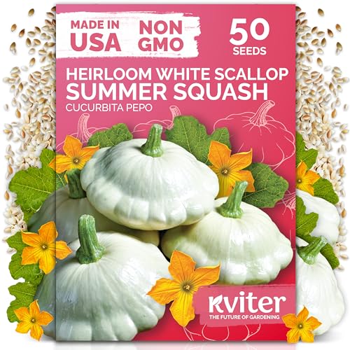 50 White Patty Pan Squash Heirloom Vegetable Seeds