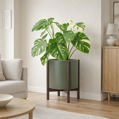 Plastic Pot with Walnut Wood Stand (Olive Pot + Walnut Color Stand / 14 Inch)