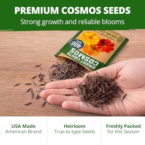 Cosmos Bright Lights Mix 400 Flower Seeds Cosmos sulphureus