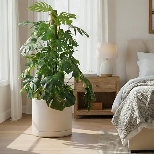 16 Inch Ceramic Planter Pot (XXX-Large / Oatmeal)