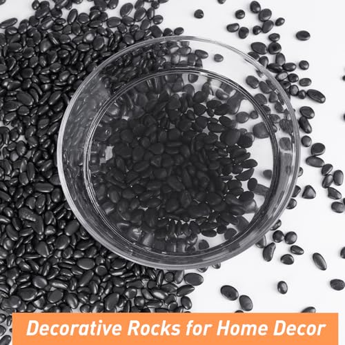 10 lbs Black Pebbles for Indoor Plants (160 Ounce)
