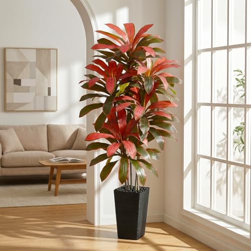 Artificial Dracaena Tree (Burgundy – Black Pot / 6FT)