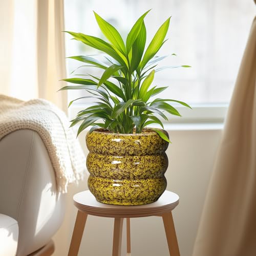 Ceramic Planter (8 Inch / Leopard Print Yellow)