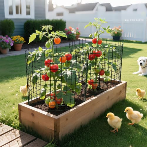 16 Pack 20x12 inch Plant Protector (16 Count)