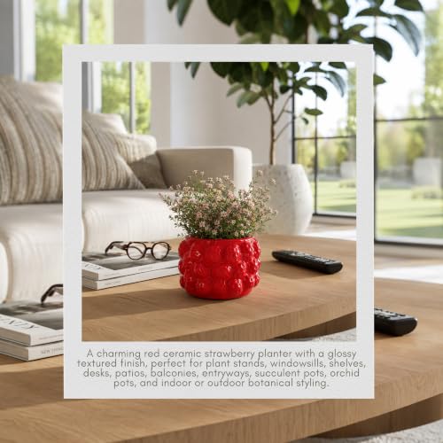 Fruit Inspired Planter for Indoor and Outdoor Display (Red / 6")