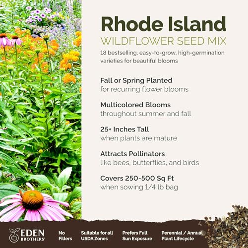 Rhode Island Wildflower Mixed Seeds for Planting