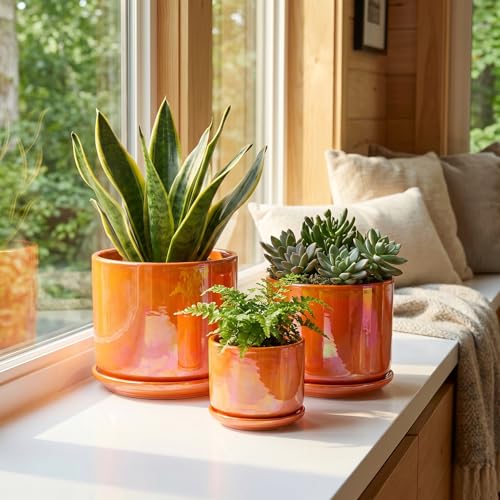 Ceramic Plant Pots (Orange)