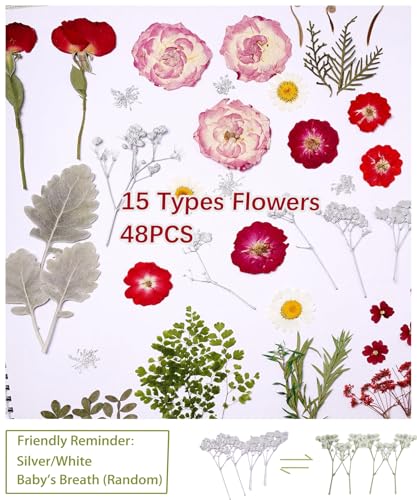 48 Pcs Mix Natural Dried Pressed Flowers for Cake Decorating (Rose)