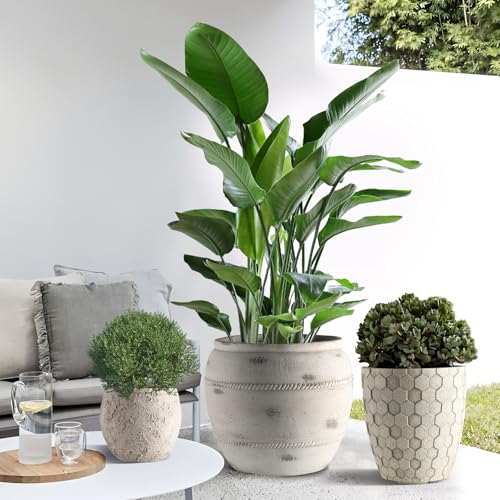 Round Concrete Style Planter Set of 3 (Stone White)