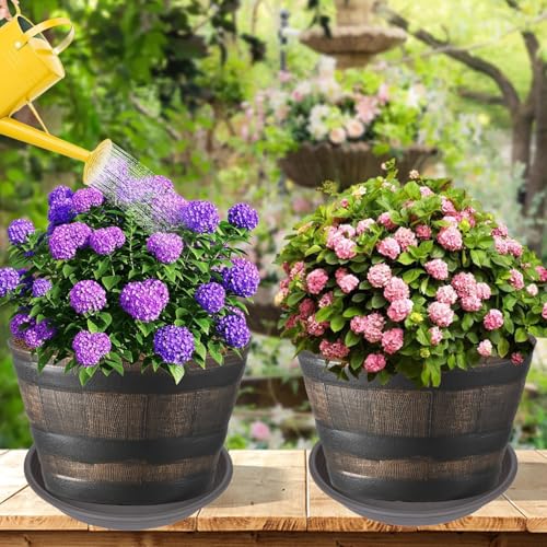 6 Pack of 12 inch Plant Saucer (12" (6 pack) / Brown)