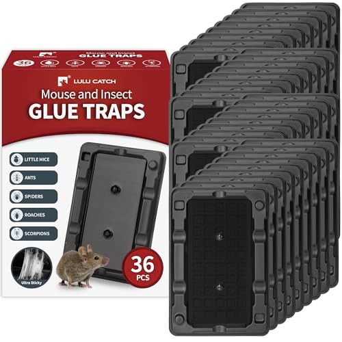 Mouse & Insect Traps 36 Pack (36 Pack / Small Mouse Traps)