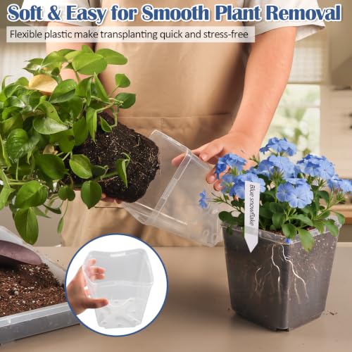 5.5 Inch Clear Square Nursery Pots with Drainage & Labels (Clear Pot+labels / 5.5Inch)