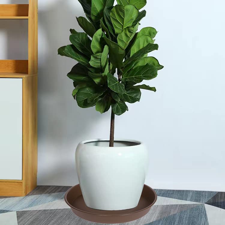 2 Pack of 20 21 inch Plant Saucer Round (21" (2 pack) / Chocolate)