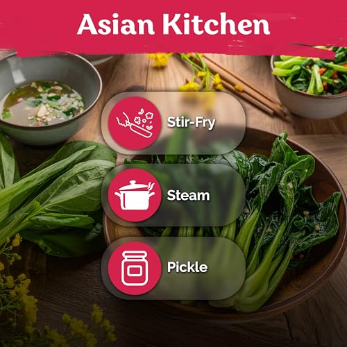 3700 Jung Green Yu Choy Sum Vegetable Seeds