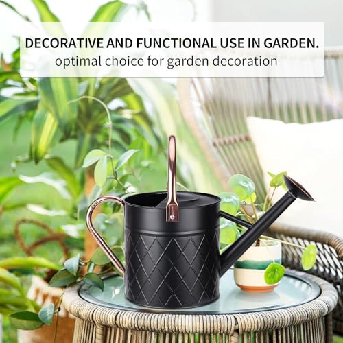 1.75 Gallon Outdoor Metal Watering Can for Garden Plants (Black)