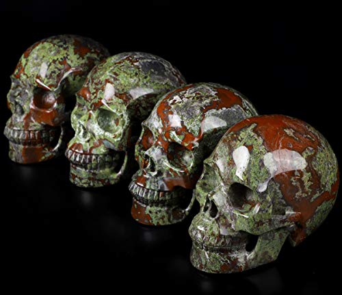 5.0" Dragon Blood Jasper Crystal Skull (Dragon Blood Jasper)