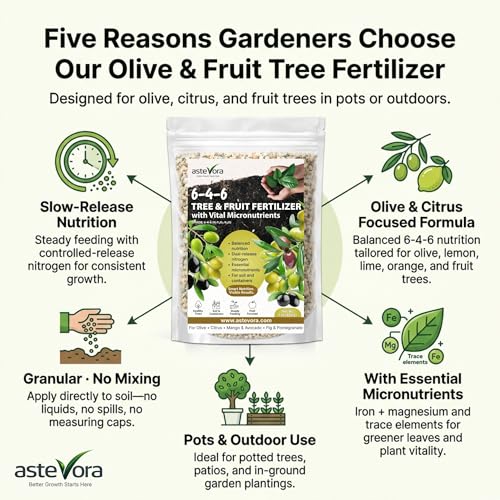 Olive Tree Fertilizer (1/2 quart / Olive Tree Fertilizer)