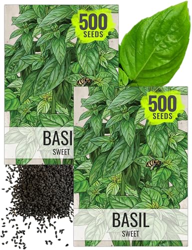 Genovese Sweet Basil Seeds Heirloom Non (2 Packs)