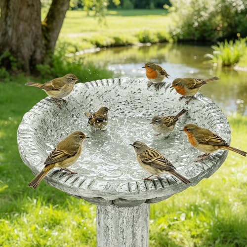 Concrete Bird Bath for Outdoor Garden (23.8" / Fluted Pedestal)
