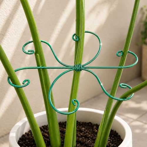 Green Monstera Plant Stem Support Set (Green / 7.5IN*7.5IN)