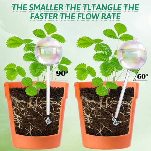 4 Pack 17 oz Large Glass Plant Self Watering Globes to 2 Weeks Watering (Large 4-Pack)
