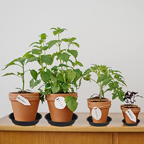 2 Pack of 10 inch Plant Saucer Gray (10" (2 pack) / Black)