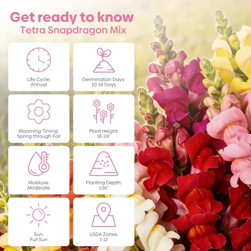 Mix Snapdragon Seeds Tetra