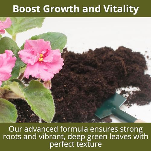 3-1-2 African Violet Fertilizer for Indoor Plants: Liquid Fertilizer with Essential Micronutrients Drops - Plant Food for African Violets (16 OZ) (16 Fl Oz)