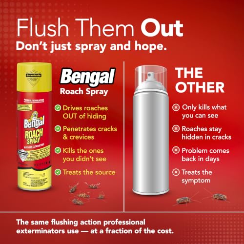 Roach Spray Dry Aerosol Indoor Roach Killer (9 Ounce)