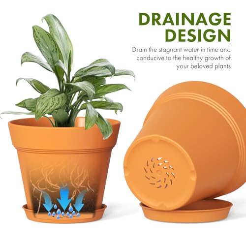 5 Inch Plastic Plant Pots with Drainage Holes and Trays (6 Count)