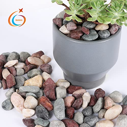5lbs Natural River Rocks (5 Pounds / Idyllic)
