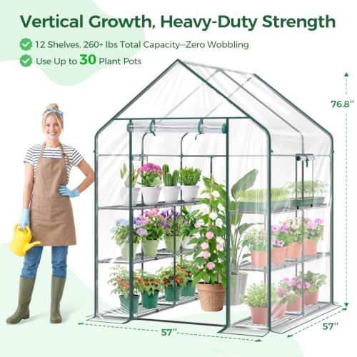 Plastic Greenhouse for Outdoors (Clear / 3 Tier 12 Shelves)