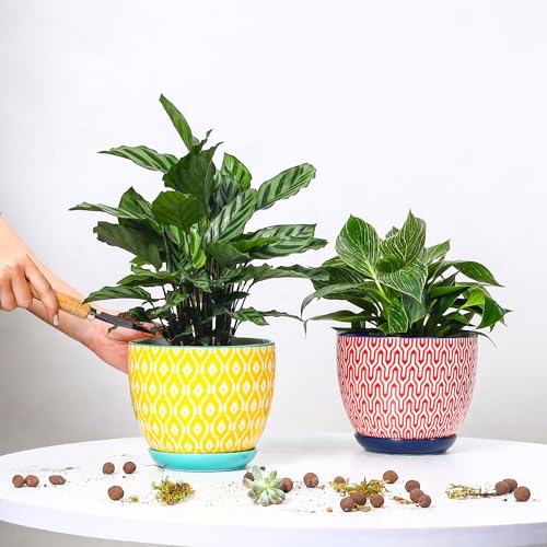 Ceramica Plant Pots (Assorted Colors / 6.5 Inch, Set of 2)