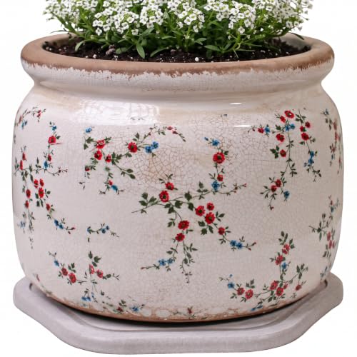 Cottage Core Ceramic Plant Pot with Decorative Saucer (Tiny Red / 7.7 in - w/ Saucer)