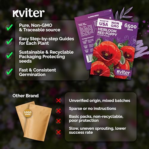 6 500 Red Poppy Heirloom Flower Seeds for Planting
