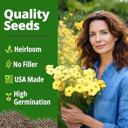 Dwarf Lemon Cosmos Seeds