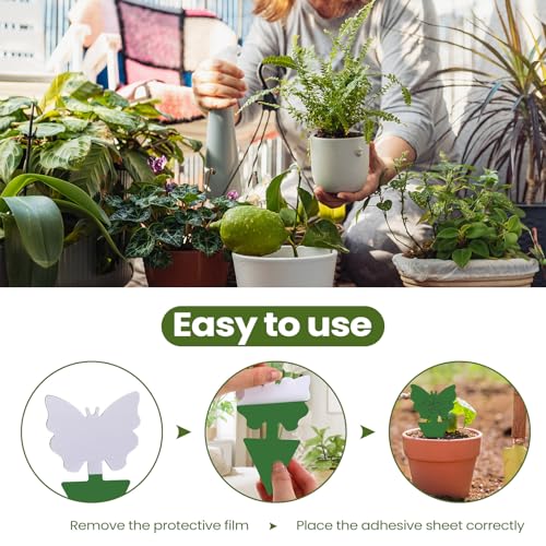 50 Sheets Fruit Fly Sticky Traps for Fruit Fly Gnat Trap for House Indoors Sticky Traps Catcher for Gnats Fungus Gnats Mosquito Catcher Kitchen Outdoor Plants (Yellow, Green / Classic Style)