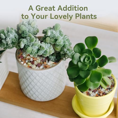10 lbs Pebbles for Indoor Plants (160 Ounce)