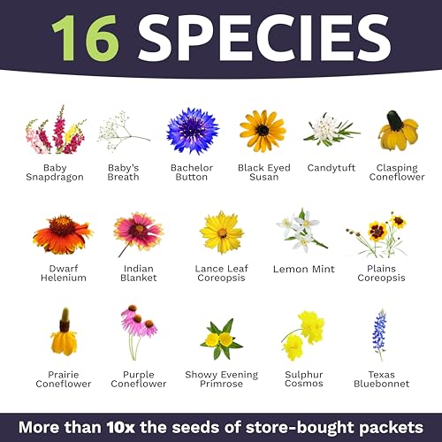 Texas Oklahoma Wildflower Seeds Mixture (60000 Count)