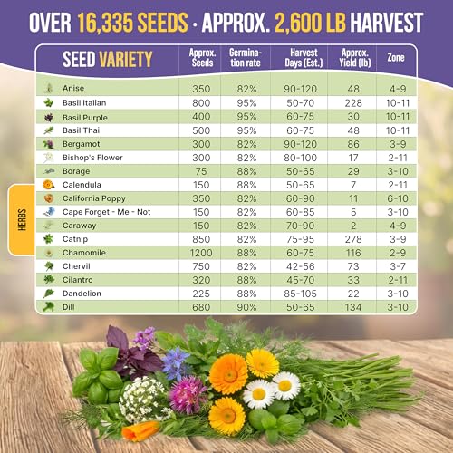 35 Medicinal & Tea Herb Seeds Variety Pack for Indoor & Outdoors. 16 (35 Count)