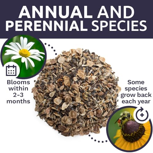 Drought Tolerant Wildflowers Mix (1 lb Bag)