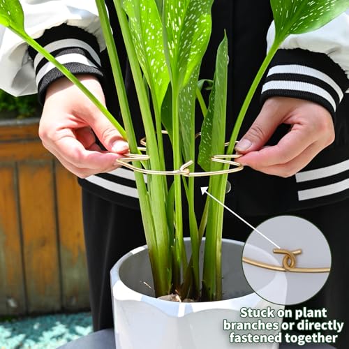 5.5x4.7in Gold Monstera Plant Stem Support System (Gold / 5.5IN*4.7IN)